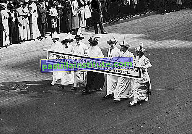 American Woman Suffrage Association