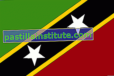 Знаме на Сейнт Китс и Невис