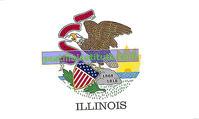 Bendera negara pertama Illinois diadopsi pada tahun 1915. Ia adalah pemenang hadiah 25 dolar dalam pertandingan yang ditaja oleh Putri Revolusi Amerika dan menunjukkan lambang dari cap negara - seekor helang bertengger di atas batu putih.  A