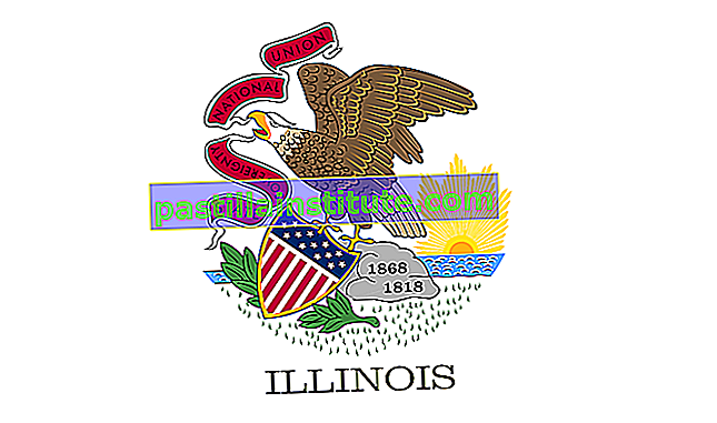 Bendera Illinois