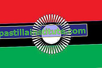 Знаме на Малави (2010–12).