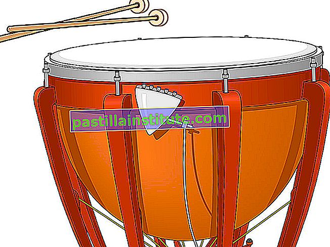 Timbales o timbal y baquetas.  Instrumento musical, instrumento de percusión, parche de tambor, timbal, tímpano, timbal, membranófono, instrumento orquestal.