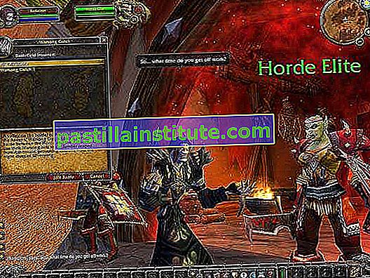 Pantalla de World of Warcraft, un juego en línea "multijugador masivo" (MMOG).