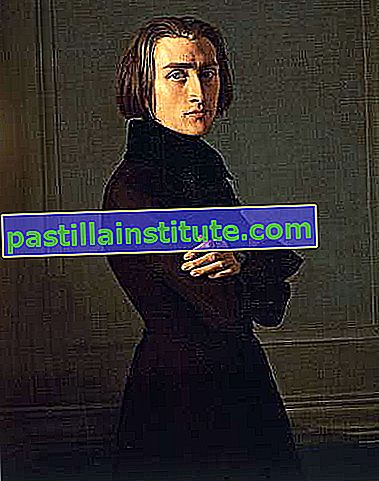 Franz Liszt, minyak di atas kanvas oleh Henri Lehmann, 1840;  di Muzium Carnavalet, Paris.