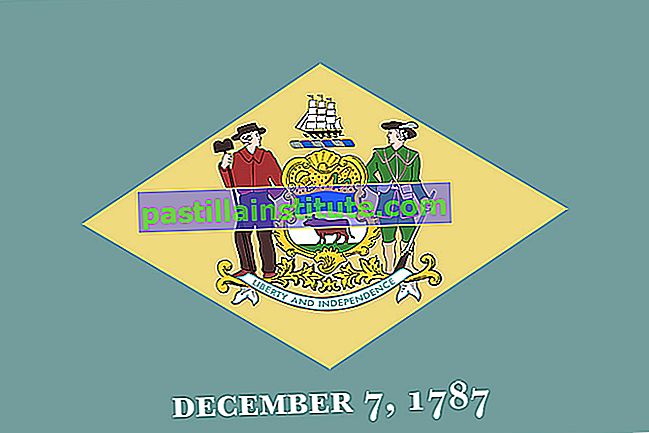 La bandera del estado de Delaware fue adoptada en 1913;  una bandera similar había sido llevada durante la Guerra Civil Americana por las tropas del estado.  Un diamante de color beige se centra en un campo de azul colonial y lleva las armas del estado;  están apoyados a la izquierda por un granjero y