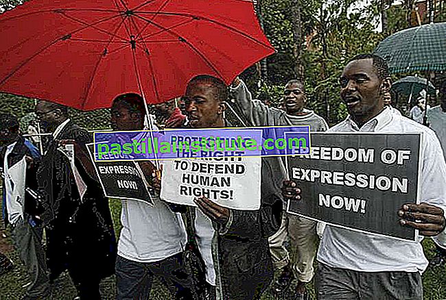 Des avocats des droits de l'homme défilant à Harare, Zimb., À l'occasion de la Journée des droits de l'homme, 10 décembre 2004.