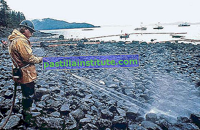 Разлив на масло от Exxon Valdez: почистване