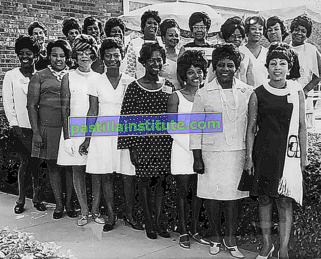 Hội đồng quốc gia về phụ nữ da đen