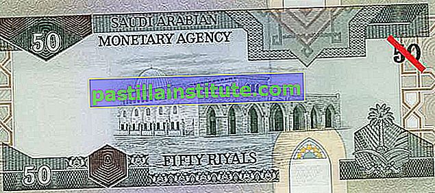 Arabia Saudita: billete de cincuenta riales (reverso)