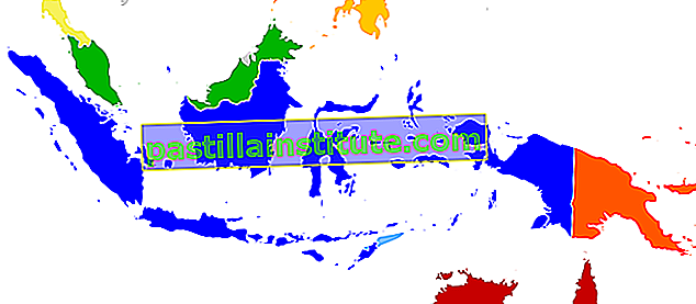 Língua malaia