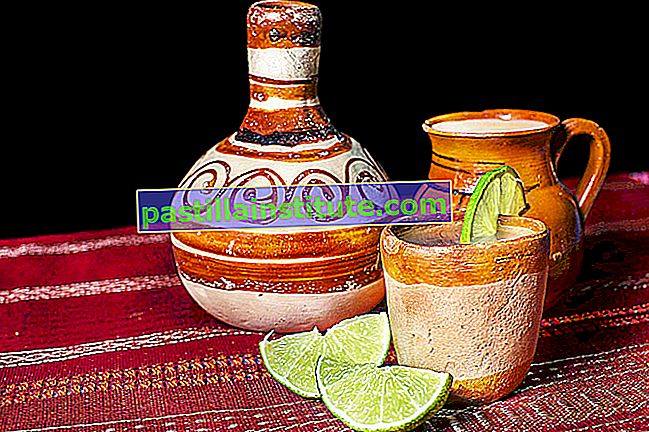 Pulque