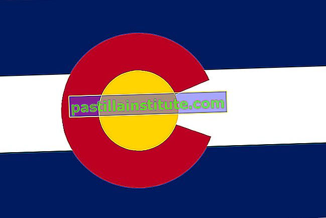 Le motif simple du drapeau de l'État du Colorado - une lettre C rouge entourant un disque d'or sur des rayures bleues et blanches - donne une variété d'interprétations.  La lettre majuscule représente non seulement le Colorado, mais aussi ses surnoms, l'État de Columbine (le columbin