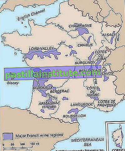 Perancis: wilayah wain
