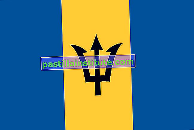 Знаме на Барбадос