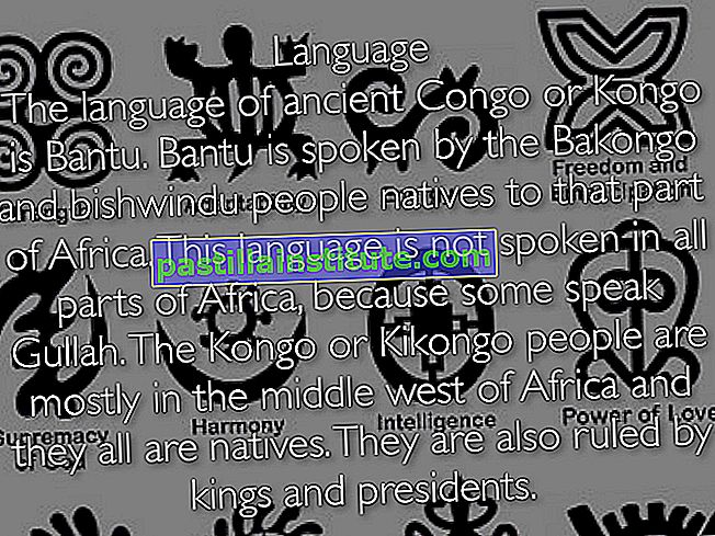 Kongo-språk
