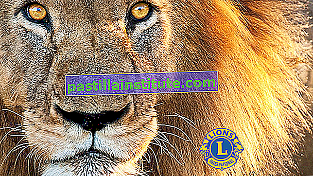 Associação Internacional de Lions Clubes