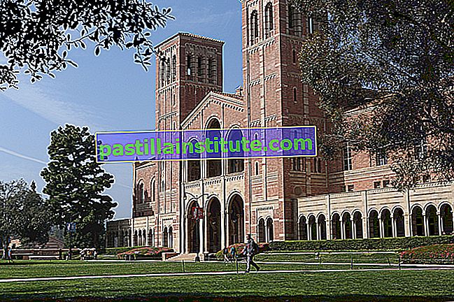 Universitas California