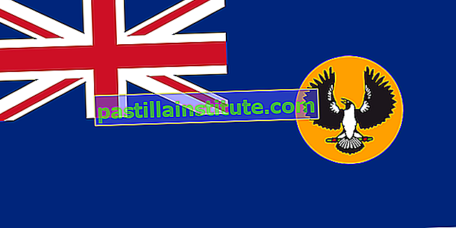 Güney Avustralya Bayrağı