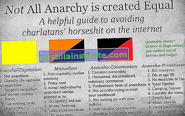 Anarcho-primitivism