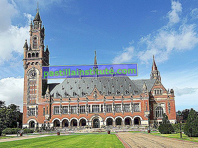 Cung điện Hòa bình (Vredespaleis) ở The Hague, Hà Lan. Tòa án Công lý Quốc tế (cơ quan tư pháp của Liên Hợp Quốc), Học viện Luật Quốc tế La Hay, Thư viện Cung điện Hòa bình, Andrew Carnegie giúp thanh toán cho