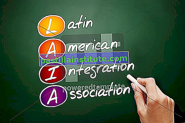 Hiệp hội hội nhập Mỹ Latinh