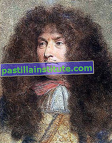 Charles Le Brun: Retrato del rey Luis XIV