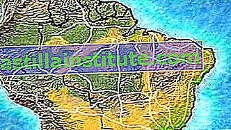 Periksa peta jalan raya Transamazonian yang memungkinkan transportasi barang ke seluruh bagian Lembah Sungai Amazon yang sebelumnya tidak dapat diakses dan berpenduduk sedikit