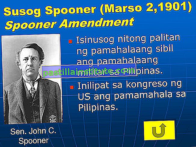 Amendement Spooner