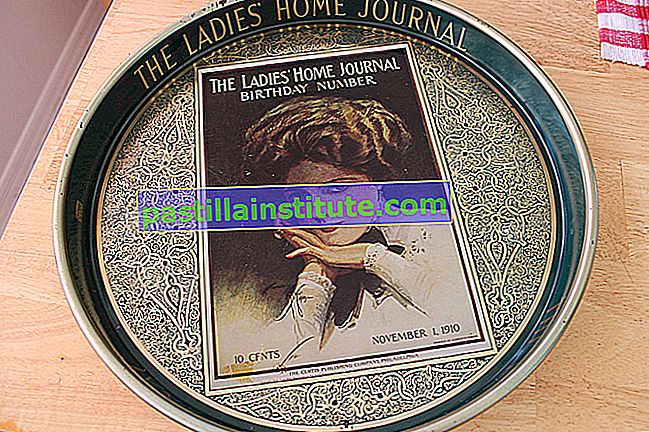 Ladies 'Home Journal