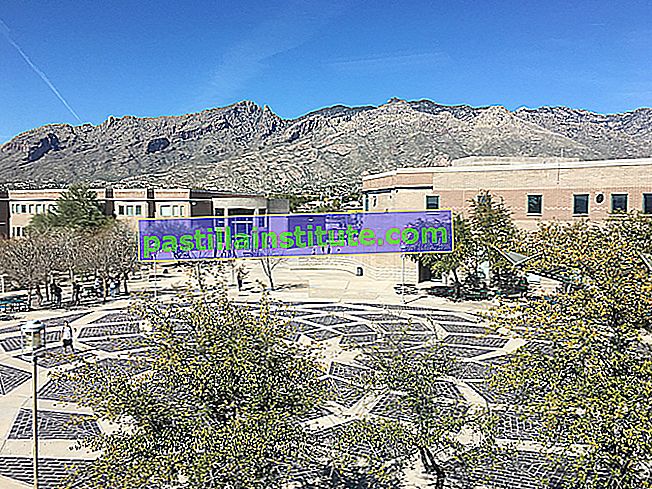 Zobrest / Catalina Foothills Okul Bölgesi
