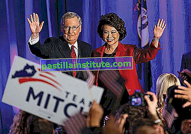 Pemilu paruh waktu 2014: Mitch McConnell terpilih kembali