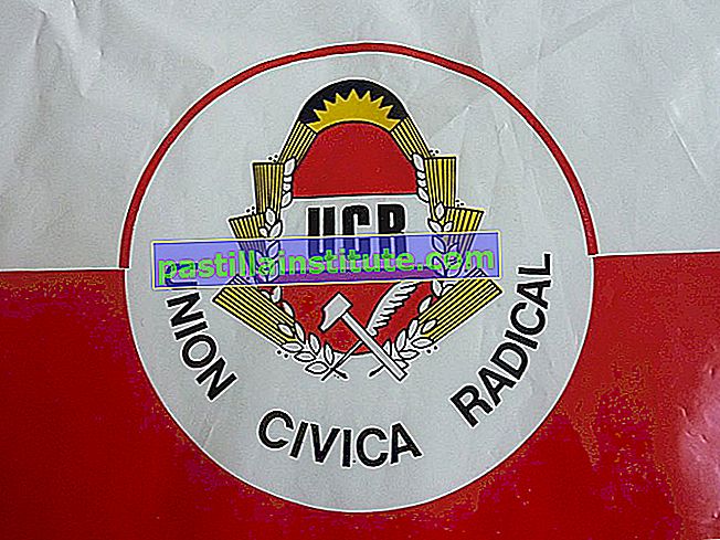 Radical Civic Union
