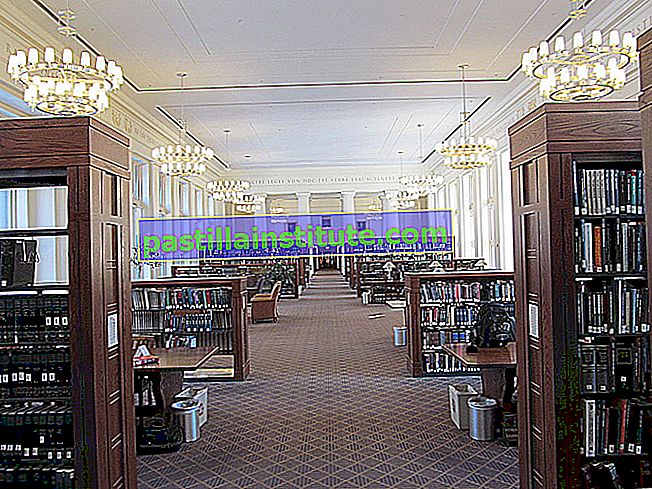 Perpustakaan Universitas Harvard