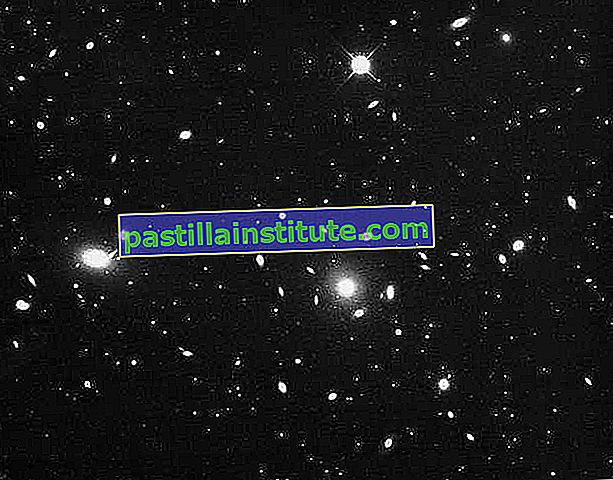 L'ammasso di Coma, un gruppo di galassie a simmetria sferica con un'alta percentuale di ellittiche.