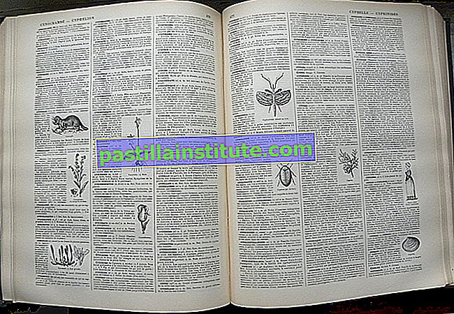 Ensiklopedia Grand Dictionnaire Larousse