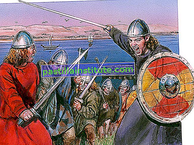Viking.  Pahlawan Viking memegang pedang dan perisai.  Ke-9 c.  Pahlawan pelayaran AD menyerang wilayah pesisir Eropah, membakar, menjarah dan membunuh.  Penceroboh atau lanun berasal dari Scandinavia, sekarang Denmark, Norway, dan Sweden.  Sejarah Eropah