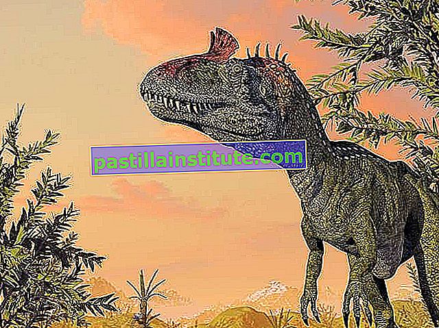 Кріолофозавр, динозавр, виявлений в Антарктиді, є найбільшим відомим хижаком епохи ранньої юри.