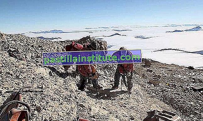 По време на австралийското (южното полукълбо) лято на 2010–2011 г. учените работят в кариерата на планината.  Къркпатрик, Антарктида, където 20 години по-рано са изкопани останки от динозавър Криолофозавър.