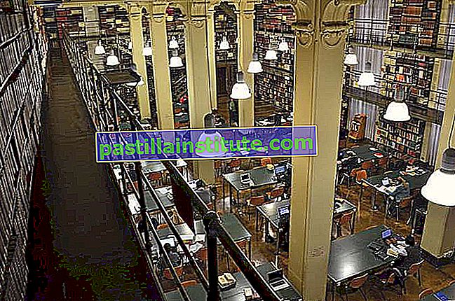 Читальний зал у Папській бібліотеці Григоріанського університету, Рим.