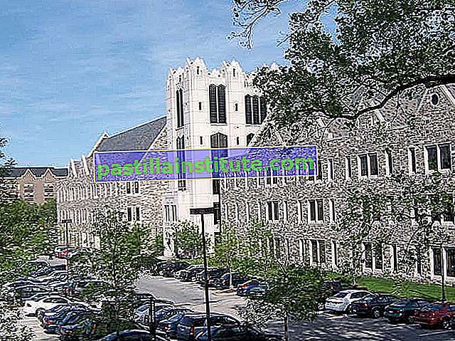 Saint Joseph's Üniversitesi