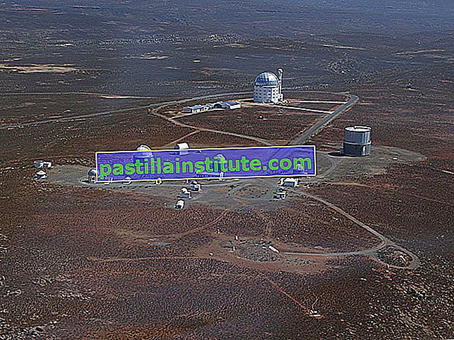 Teleskop Besar Afrika Selatan