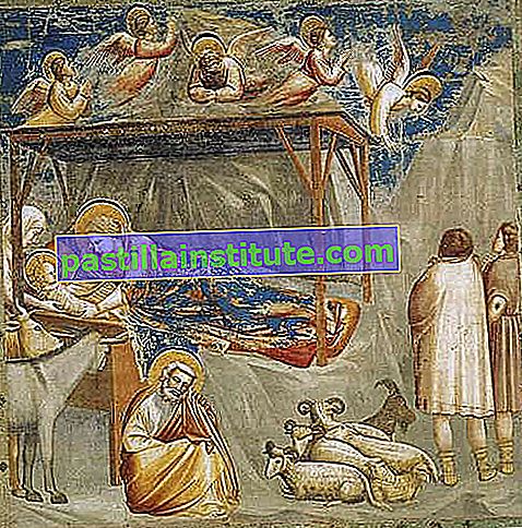Giotto: La Natività