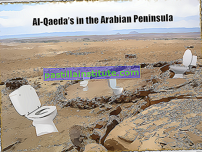 Al-Qaeda di Semenanjung Arab