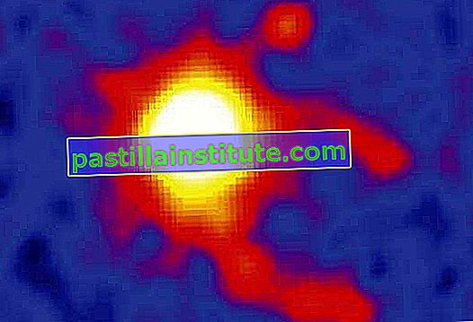 Пульсар Geminga, зображений на довжинах хвиль рентгенівських променів рентгенівською обсерваторією XMM-Ньютон, що обертається навколо Землі. Пара яскравих рентгенівських "хвостів" окреслює краї конусоподібної ударної хвилі, що створюється пульсаром, коли вона рухається в просторі майже перпендикулярно лінії зору (від нижнього правого до верхнього лівого на зображенні).