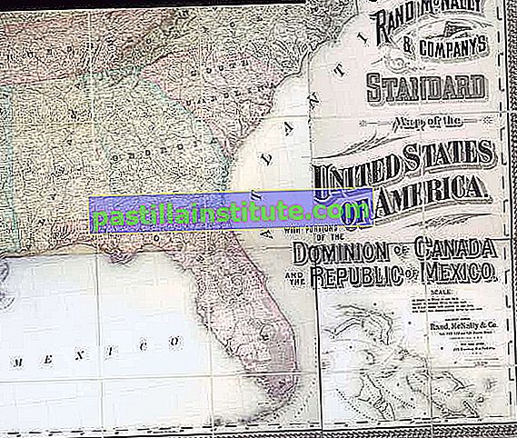 Detalj från Rand McNallys karta över USA, 1887.