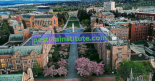 Đại học Washington