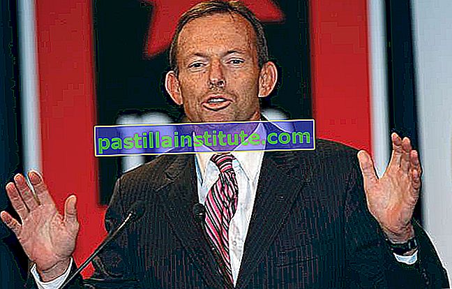 Tony Abbott, 2552