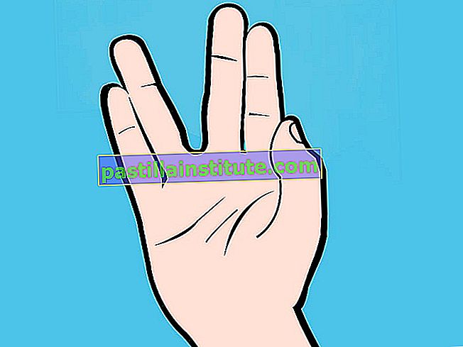 Illustrazione del gesto della mano di saluto vulcaniano reso popolare dal personaggio Mr. Spock nella serie televisiva originale di Star Trek, spesso accompagnato dalle parole vivi a lungo e prospera.