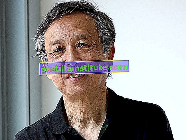 El autor chino Gao Xingjian, 2008, ganador del Premio Nobel de Literatura 2000.