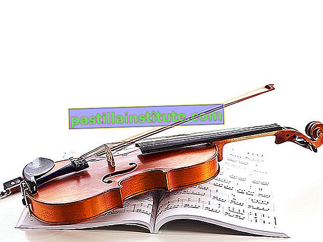 Цигулка върху нотни листове.  (музикален инструмент)